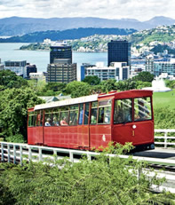The Wellington Cable Car climbs to the Botanic Garden;