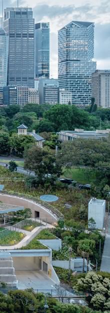 Art Gallery of New South Wales' (AGNSW)