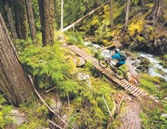 Whistler Mountain Biking